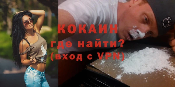мдпв Бородино