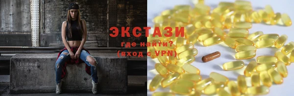 мдпв Бородино