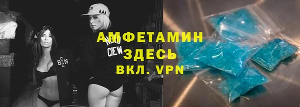 мдпв Бородино