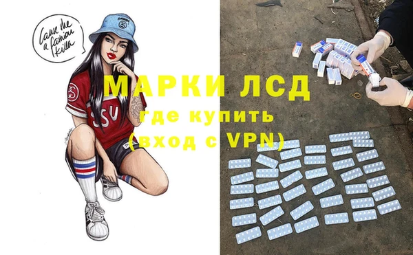 мдпв Бородино