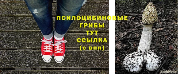 хмурый Бронницы