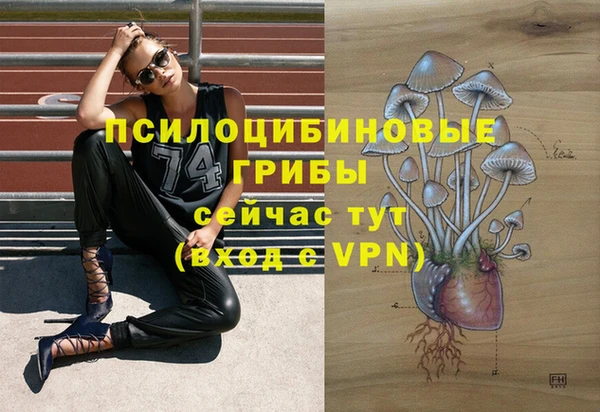 хмурый Бронницы
