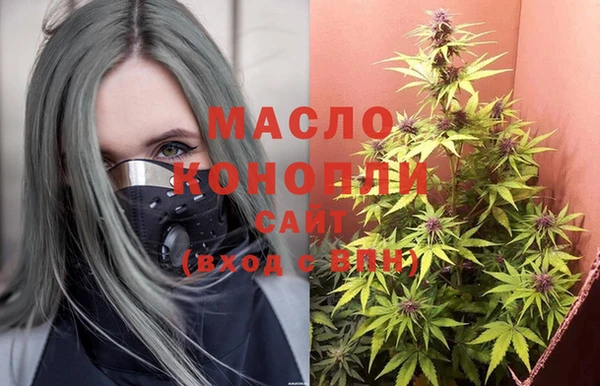 мдпв Бородино