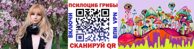 Псилоцибиновые грибы Cubensis  цены наркотик  Волжск 