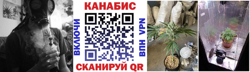 Бошки Шишки AK-47  купить наркотик  Волжск 